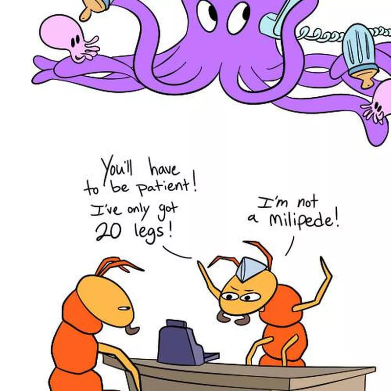 Animals