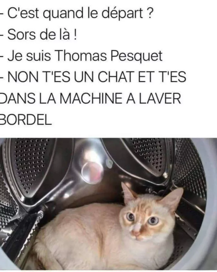 Ce chat pense sérieusement être Thomas Pesquet