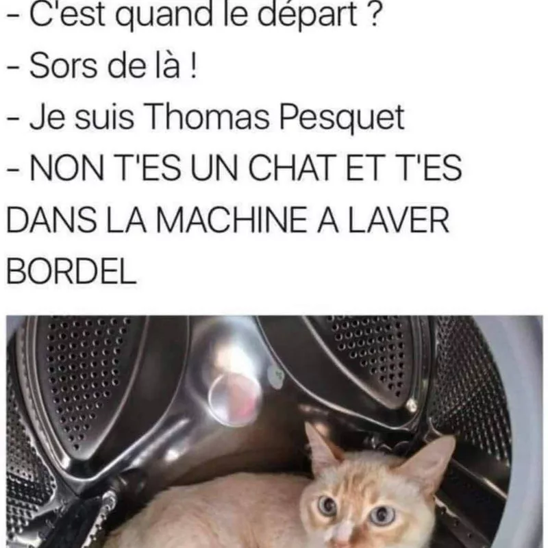 Ce chat pense sérieusement être Thomas Pesquet