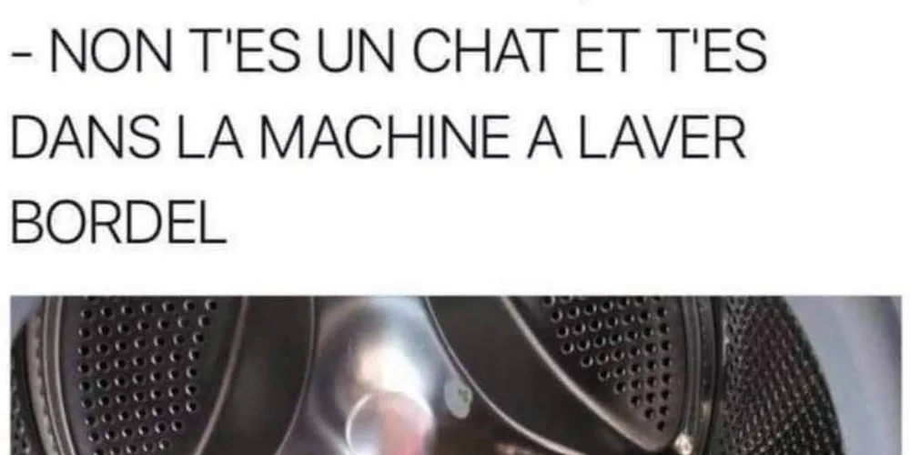 Ce chat pense sérieusement être Thomas Pesquet