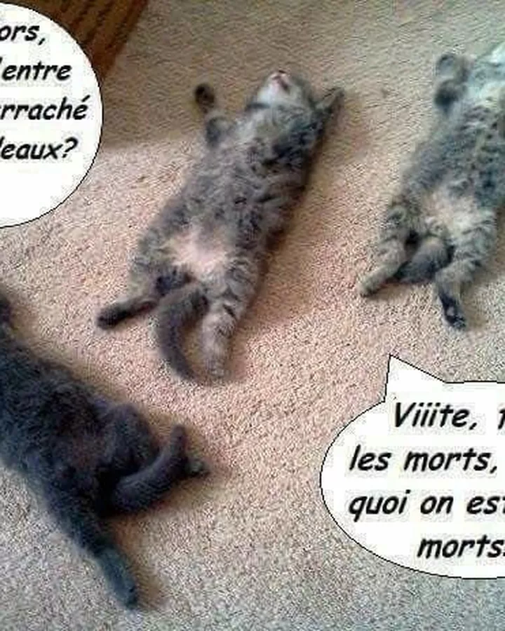 Faites les morts, sinon on est tous morts !