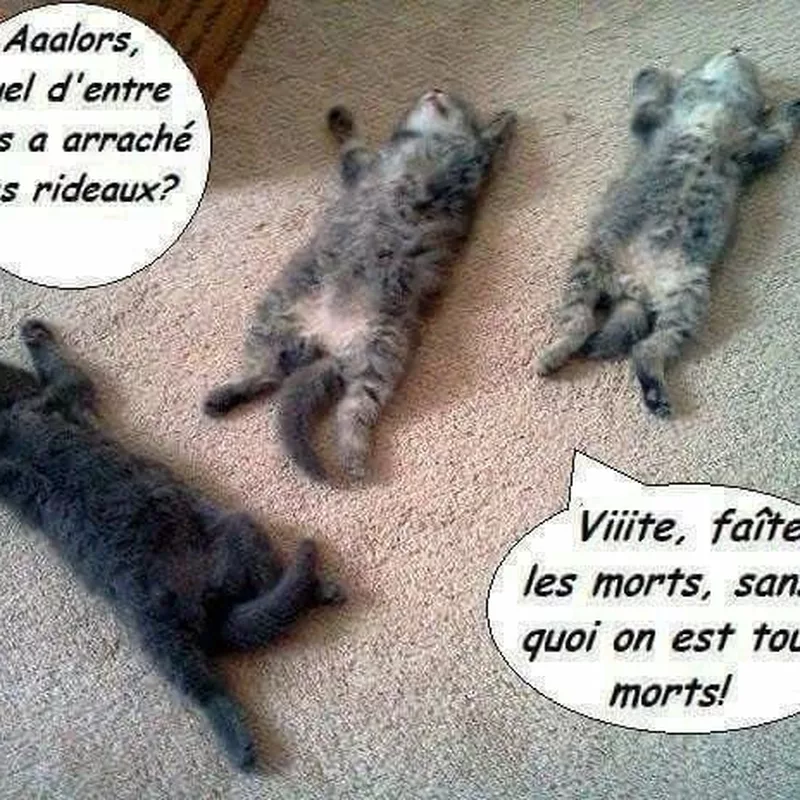 Faites les morts, sinon on est tous morts !