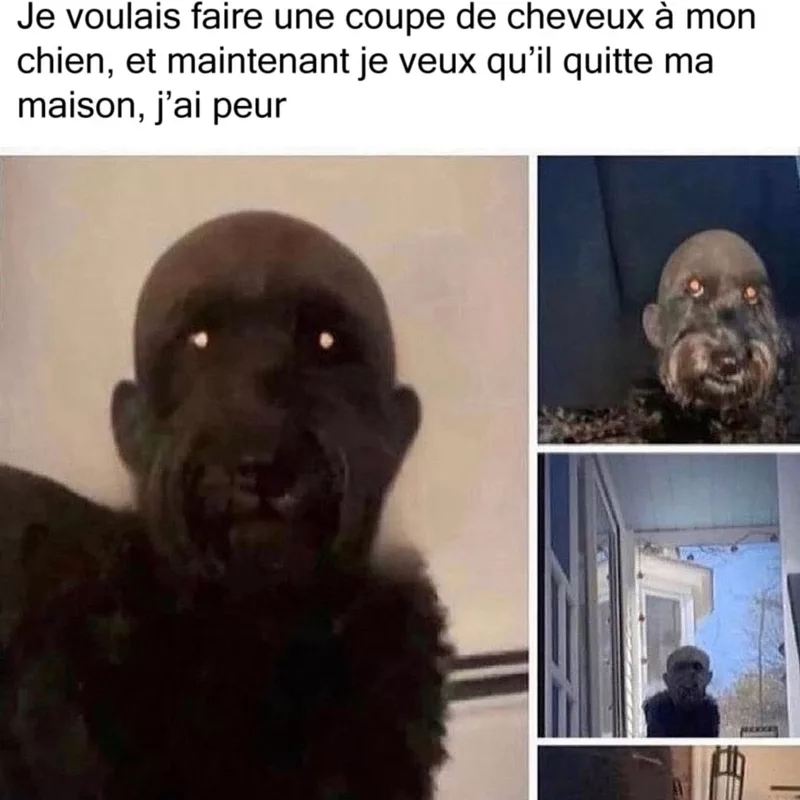 La coupe de trop
