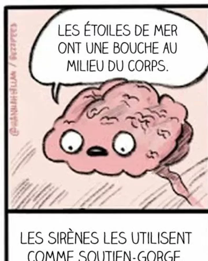 Le cerveau qui refuse de te laisser dormir