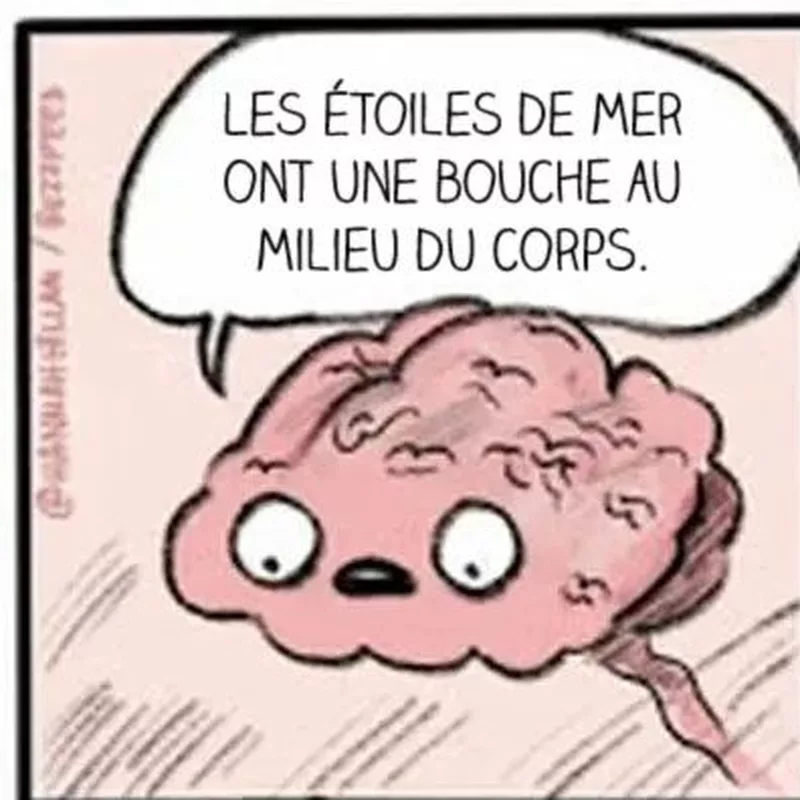 Le cerveau qui refuse de te laisser dormir