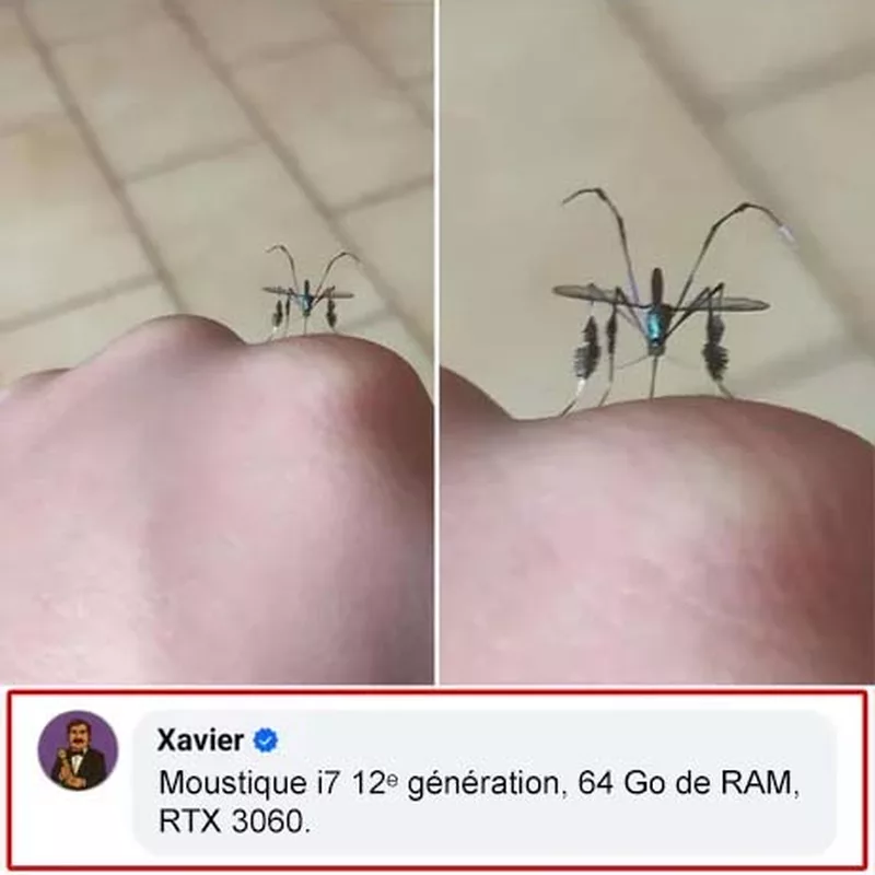 Le moustique nouvelle génération