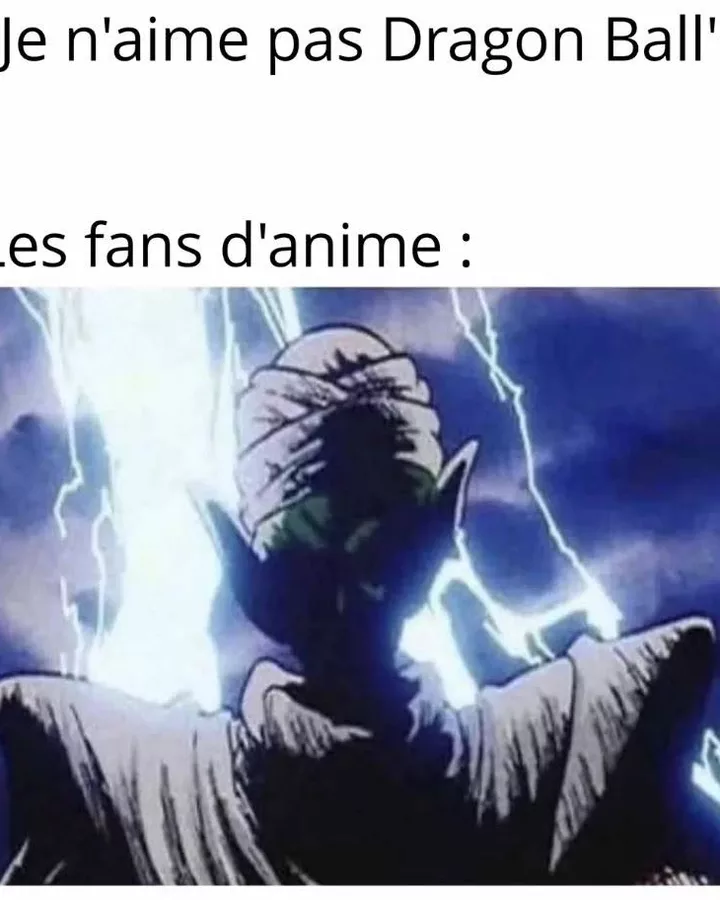 Le niveau de menace monte direct à Namek quand tu insultes Dragon Ball