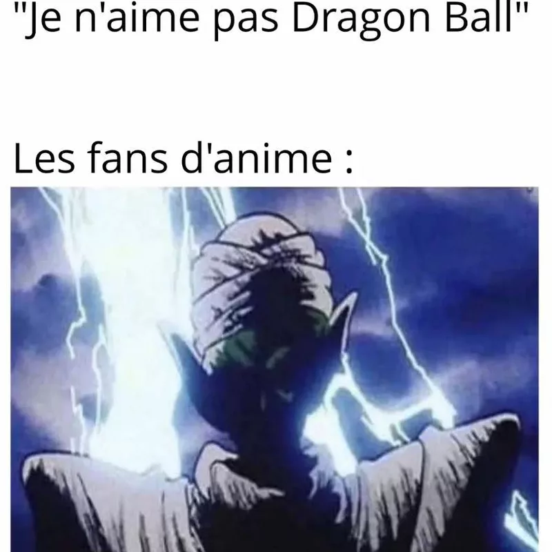 Le niveau de menace monte direct à Namek quand tu insultes Dragon Ball