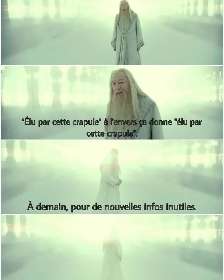 Le palindrome inutile de Dumbledore
