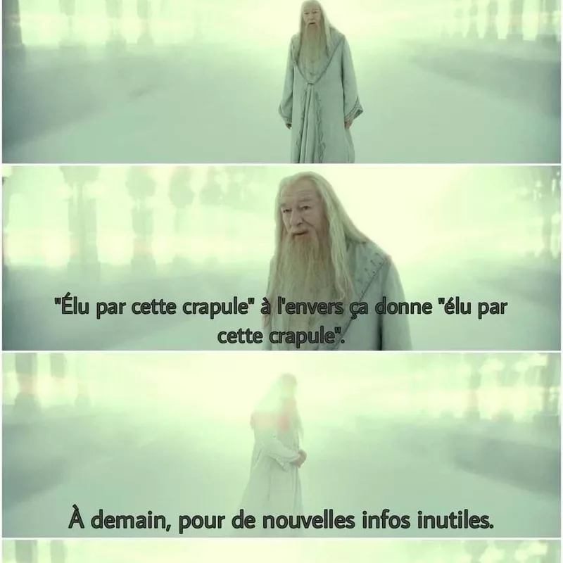 Le palindrome inutile de Dumbledore