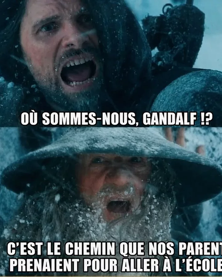 Le Seigneur des Anneaux revisité par nos parents nostalgiques