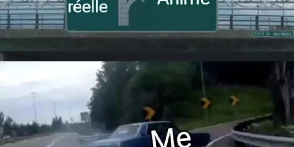 Le seul créneau que je sais faire c'est celui-là
