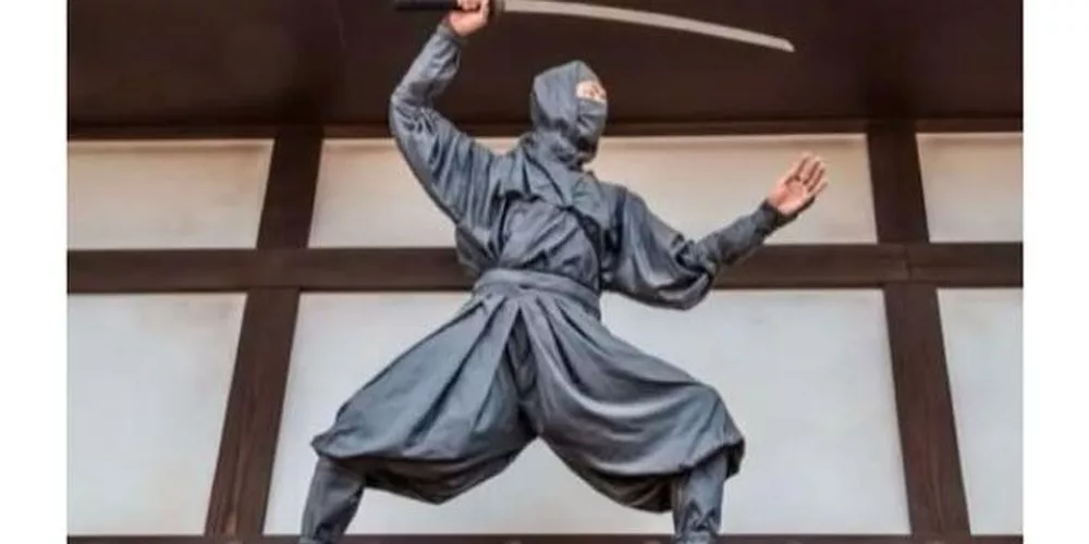 L'élève ninja modèle