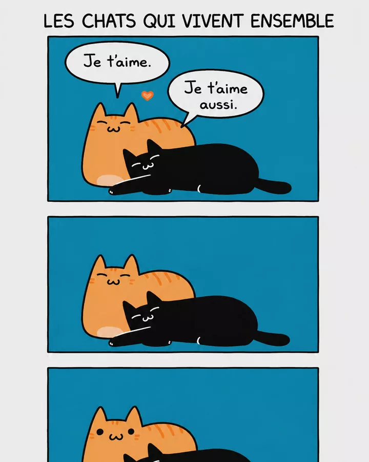 Les chats qui vivent ensemble : la déclaration d'amour qui tourne court
