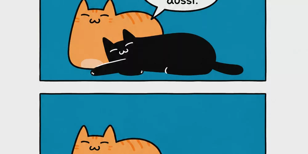 Les chats qui vivent ensemble : la déclaration d'amour qui tourne court