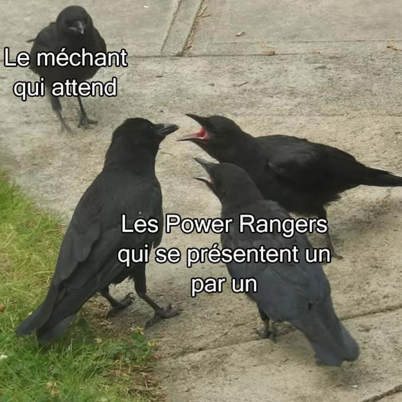 Mon combat quotidien