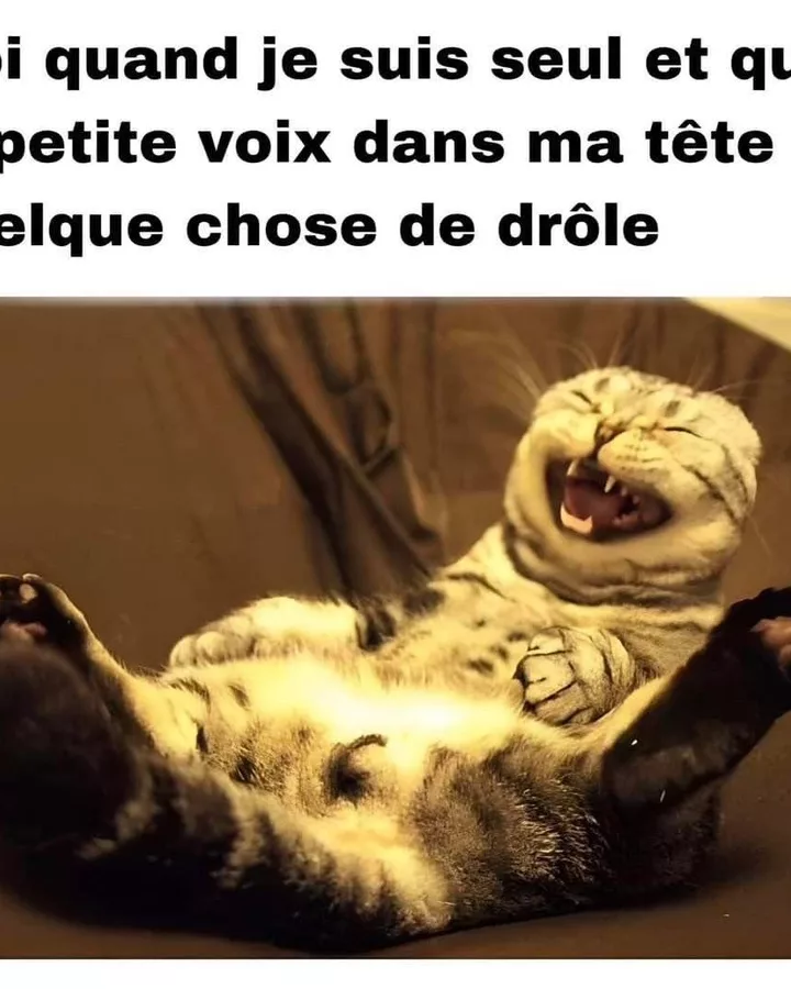 Quand la voix dans ma tête raconte une blague