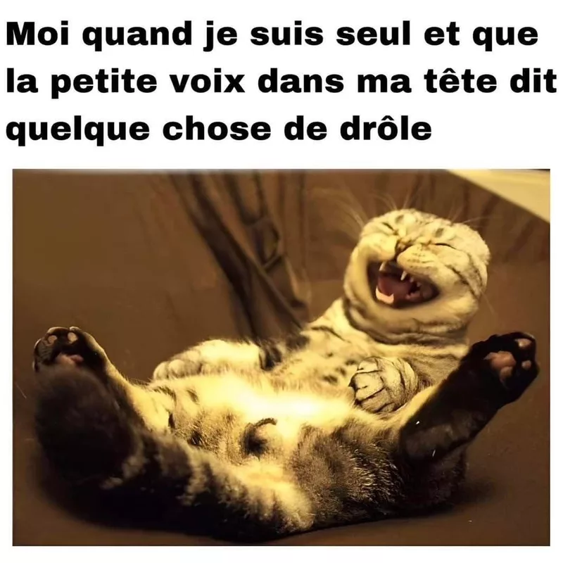 Quand la voix dans ma tête raconte une blague